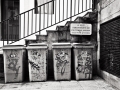 sortie nantes, Nico M Photographe-20