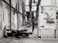 sortie nantes, Nico M Photographe-21