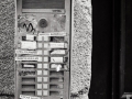 sortie nantes, Nico M Photographe-3