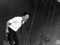 souchon, voulzy, argentique, Vieilles Charrues, Nico M Photographe-2