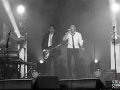 souchon, voulzy, argentique, Vieilles Charrues, Nico M Photographe-3