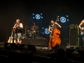 steeve'n'seagulls,hall 3, samedi, Nico M Photographe-8