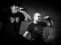 svinkels - Nico M Photographe-2