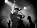 svinkels - Nico M Photographe-6