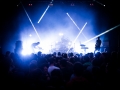 teldem com_unity,Foin d_hivers 2015, Nico M Photographe-3.jpg