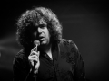 the daniel wakeford experience - Nico M Photographe-2