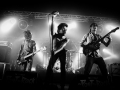 the dizzy brains, Pont du Rock, Nico M Photographe-5