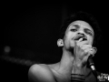 the dizzy brains,samedi, Roi Athur 2016, Nico M Photographe-4