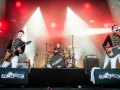 the goaties, Art Sonic, Nico M Photographe-10