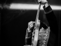 The Goaties,Vendredi, P2N 2016, Nico M Photographe-6