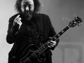 inspector cluzo, Vieilles Charrues 2017, Nico M Photographe-2