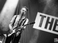 the libertines, argentique, Vieilles Charrues, Nico M Photographe-5