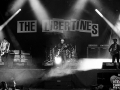 the libertines, argentique, Vieilles Charrues, Nico M Photographe-6