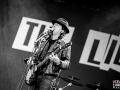the libertines, argentique, Vieilles Charrues, Nico M Photographe-8