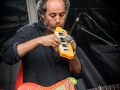 the liminanas, Nico M Photographe-9