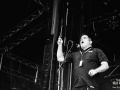 the mahones,argentique, Roi Arthur 2015, Nico M Photographe-5