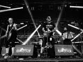 the roughtneck riot, argentique, art sonic, Nico M Photographe-8