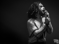 the surrenders - Nico M Photographe-7
