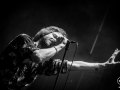 the temperance movement, Nico M Photographe