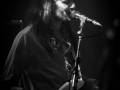the temperance movement, Nico M Photographe-6