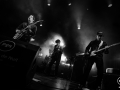 theo lawrence & the hearts - Nico M Photographe-10