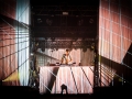 thylacine, Pont du Rock, Nico M Photographe-4