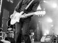 Tiggerfinger, argentique, Au pont du rock 2014,, Nico M Photographe.org-2