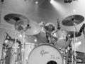 Tiggerfinger, argentique, Au pont du rock 2014,, Nico M Photographe.org-4