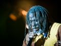 tiken jah fakoly, Excalibur, Samedi, Roi Arthur 2015, Nico M Photographe-11