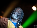 tiken jah fakoly, Excalibur, Samedi, Roi Arthur 2015, Nico M Photographe-12
