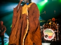 tiken jah fakoly, Excalibur, Samedi, Roi Arthur 2015, Nico M Photographe-2