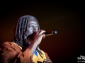 tiken jah fakoly, Excalibur, Samedi, Roi Arthur 2015, Nico M Photographe-6