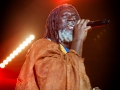 tiken jah fakoly, Excalibur, Samedi, Roi Arthur 2015, Nico M Photographe-9