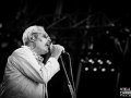 tindersticks,Vieilles Charrues, vendredi, Nico M Photographe-4