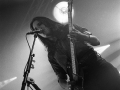 toybloid, Pont du Rock, argentique, Nico M Photographe-8