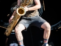 too many zooz,Vieilles Charrues, dimanche, Nico M Photographe-4