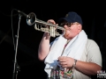 too many zooz,Vieilles Charrues, dimanche, Nico M Photographe