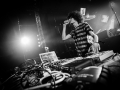 tropikal camel, hall 8, samedi, Nico M Photographe-2