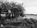urbex, Nico M Photographe-10