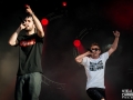 vald,Vieilles Charrues, vendredi, Nico M Photographe-3