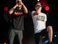 vald,Vieilles Charrues, vendredi, Nico M Photographe-4