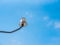 ambiance-dimanche-31-Nico-M-Photographe-2