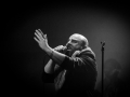 Viking, lair libre, mercredi 3,  Nico M Photographe