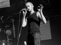 zval,argentique, Roi Arthur 2015, Nico M Photographe-2