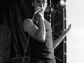 zval,argentique, Roi Arthur 2015, Nico M Photographe-6